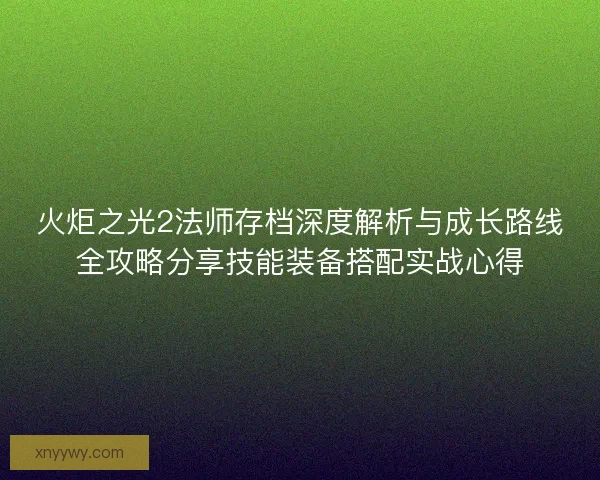 火炬之光2法师存档深度解析与成长路线全攻略分享技能装备搭配实战心得